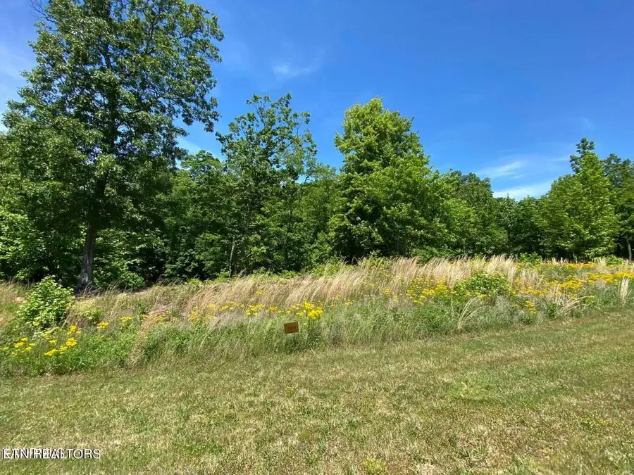 0 Water View Drive, Rockwood, TN 37854 - #2