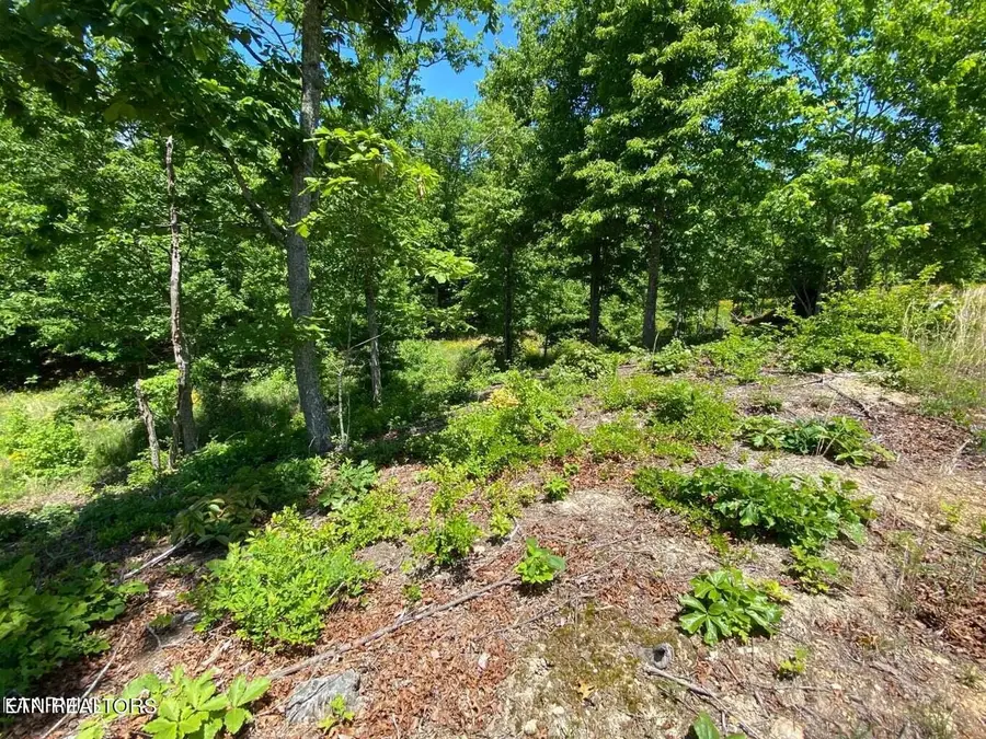0 Water View Drive, Rockwood, TN 37854 - #3