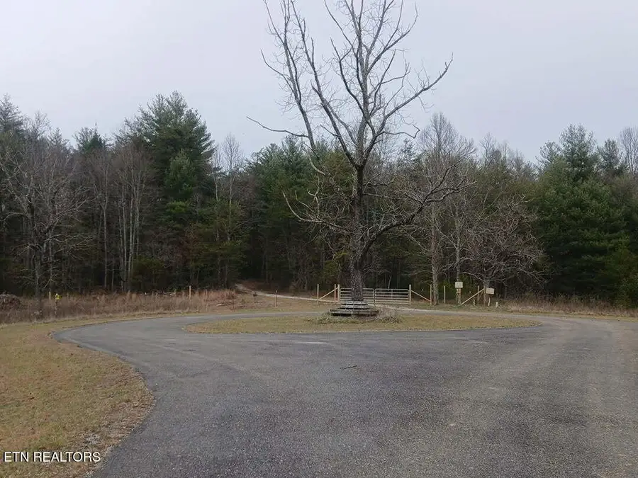 0 Wild Magnolia, Jamestown, TN 38556 - Image #3