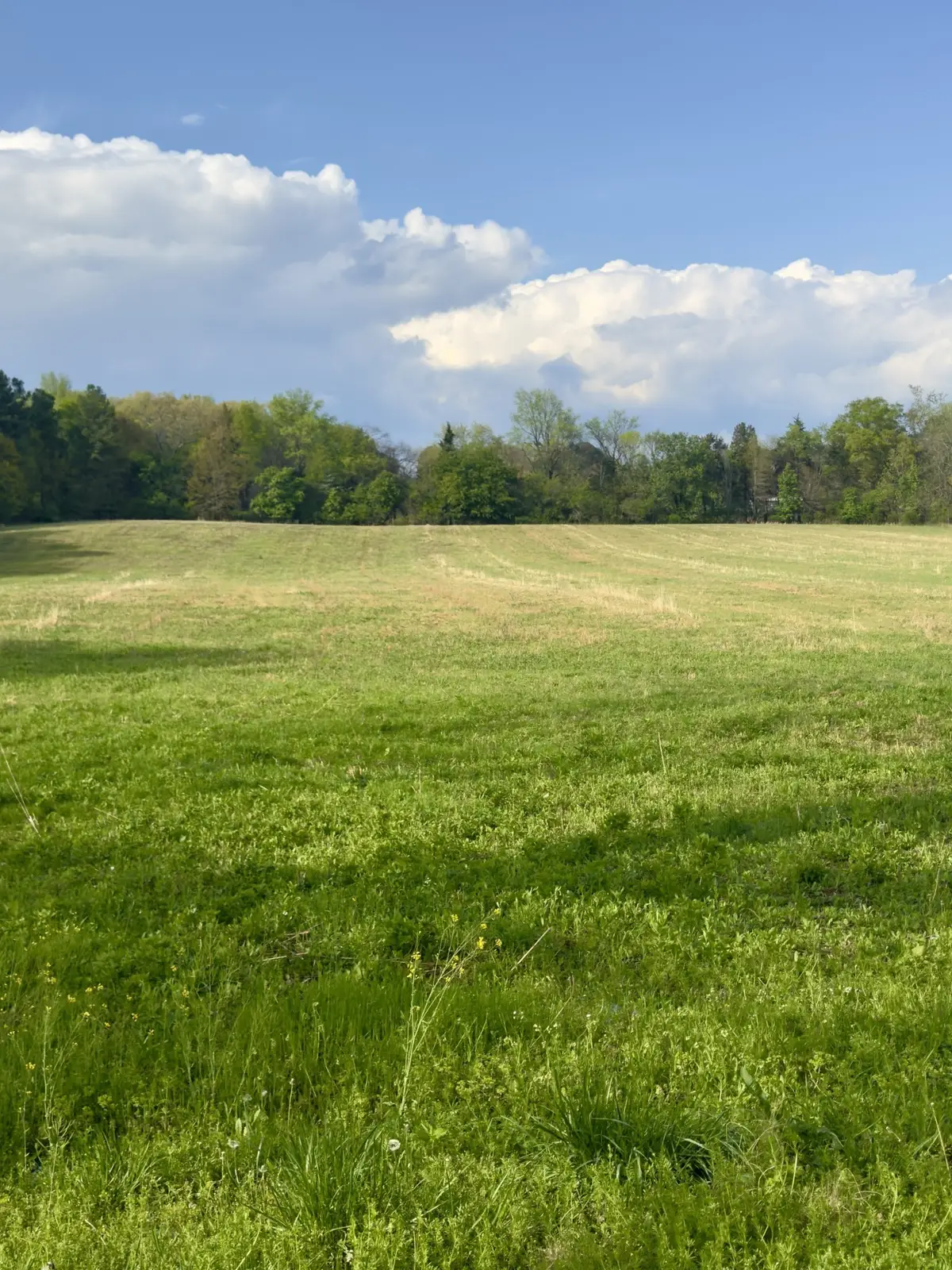 0 Aedc Lakeview Rd, Estill Springs, TN 37330 - Image #1