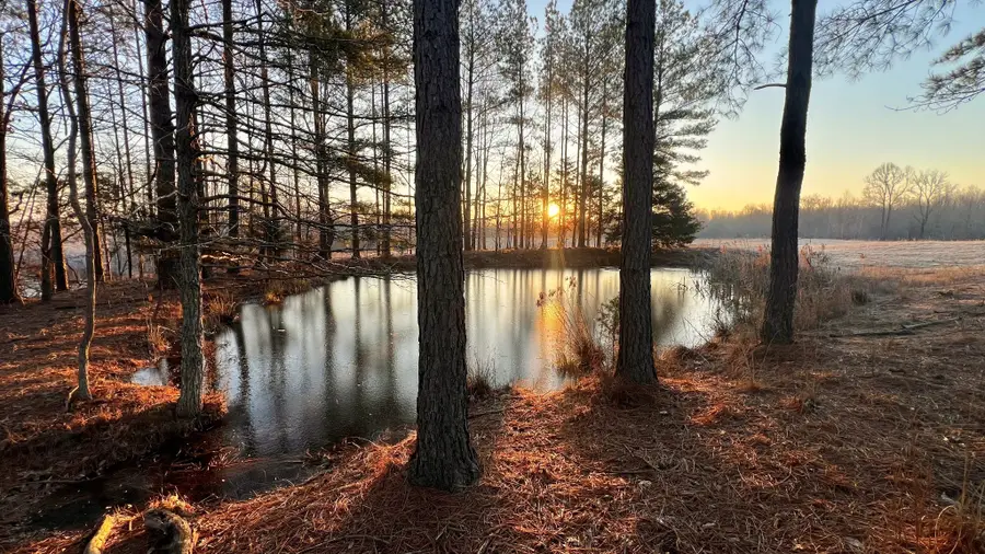 0 Seven Mile Ridge Rd, Indian Mound, TN 37079 - Image #2