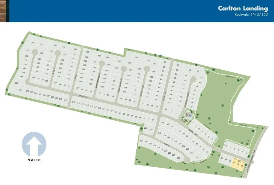 3703 Welty Ct, Rockvale, TN 37153 - #3