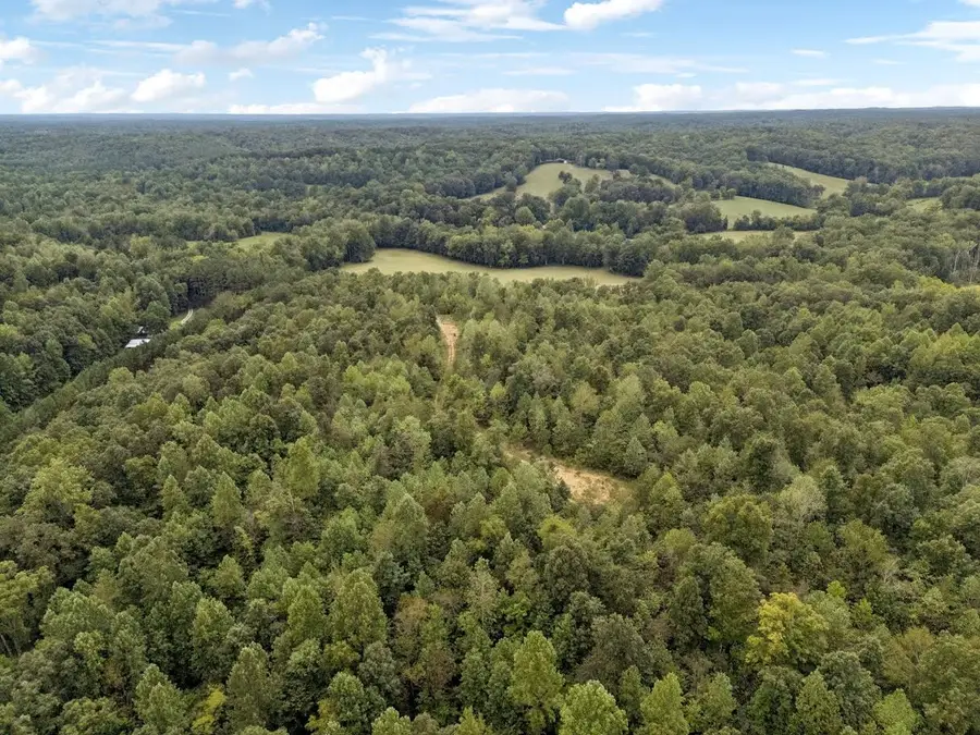 0 Trace Creek Rd, Hohenwald, TN 38462 - Image #2