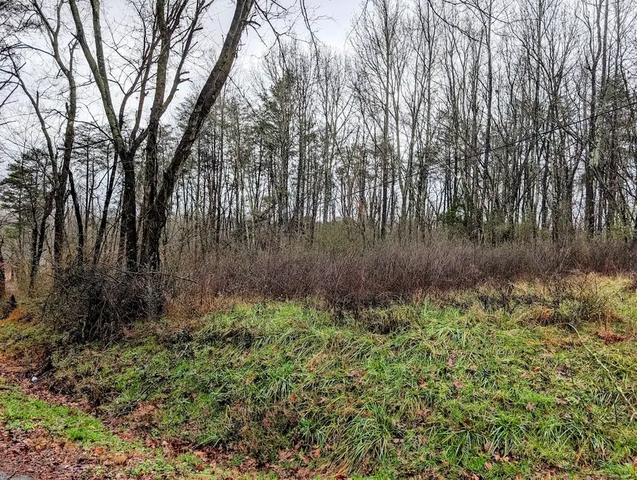 0 Magnolia North Street, Whitwell, TN 37397 - Image #2