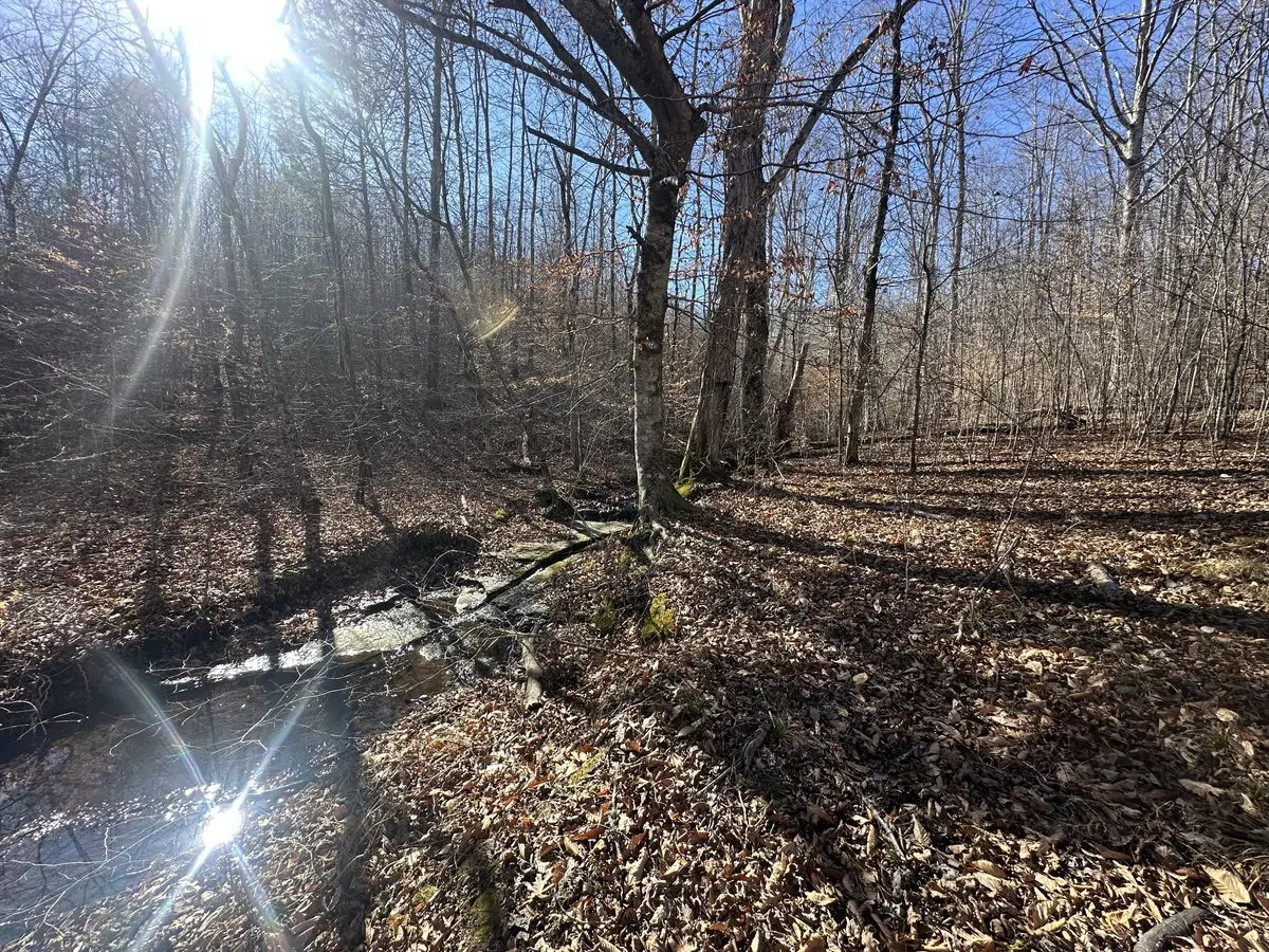 0 Rack Clayton Road, Hohenwald, TN 38462 - Image #1