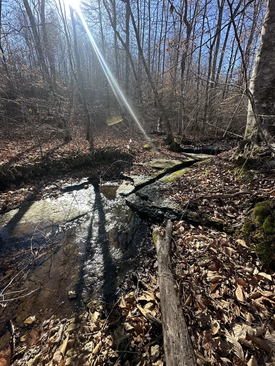 0 Rack Clayton Road, Hohenwald, TN 38462 - Image #3