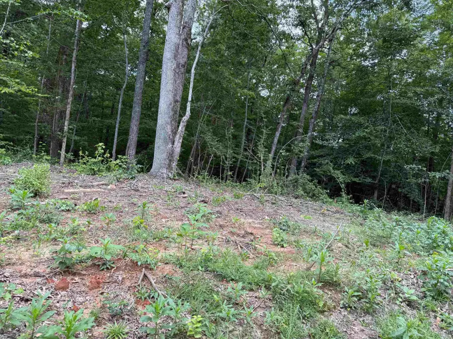 0 Hwy 69, Savannah, TN 38372 - Image #3