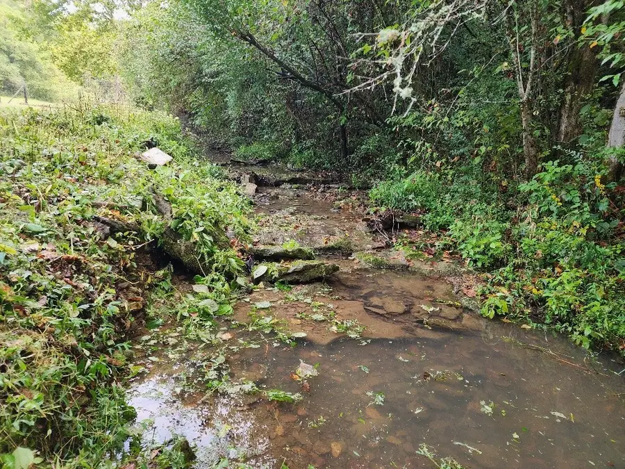 644 Webster Branch Ln, Whitleyville, TN 38588 - #3