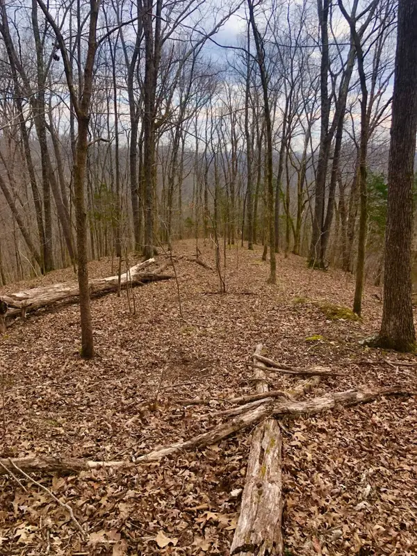 0 Simpkins Rd, Whites Creek, TN 37189