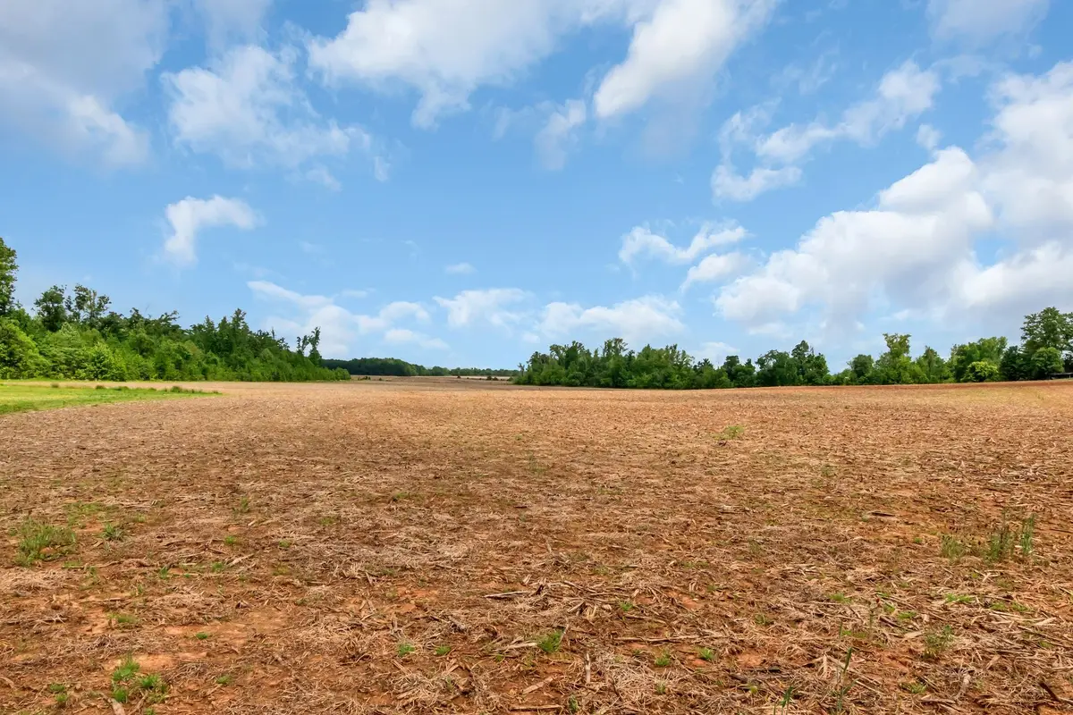 0 Gum Creek, Decherd, TN 37324 - Image #1