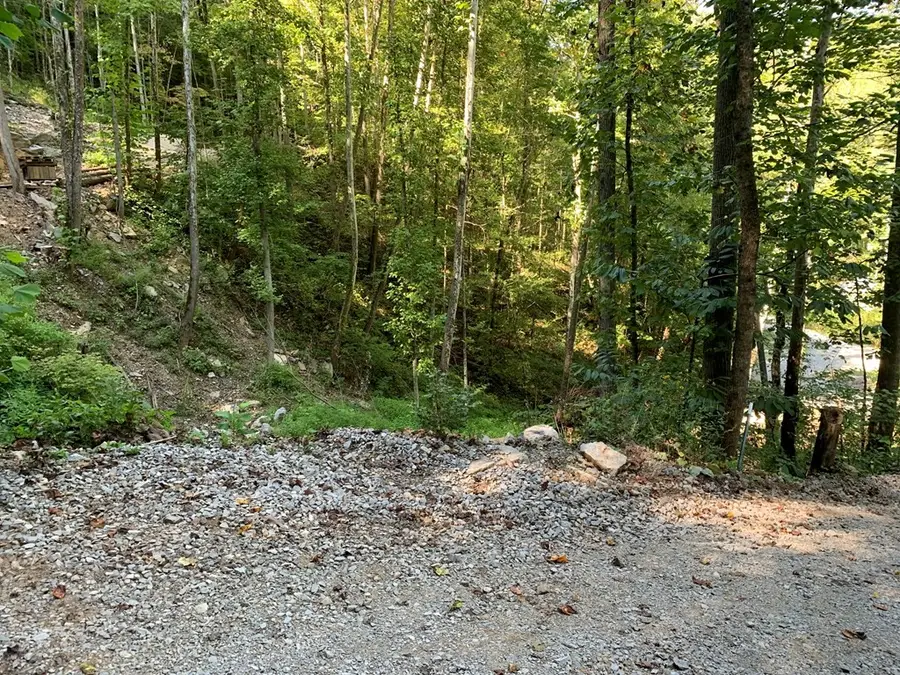 1029 E Obey Ln, Wilder, TN 38589 - Image #3