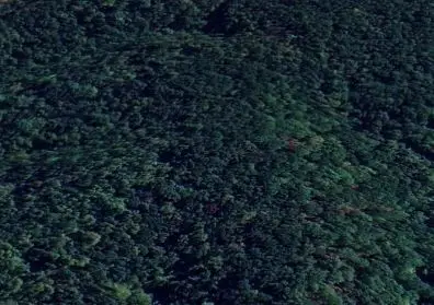 5 Rippy Ridge Rd, Normandy, TN 37360