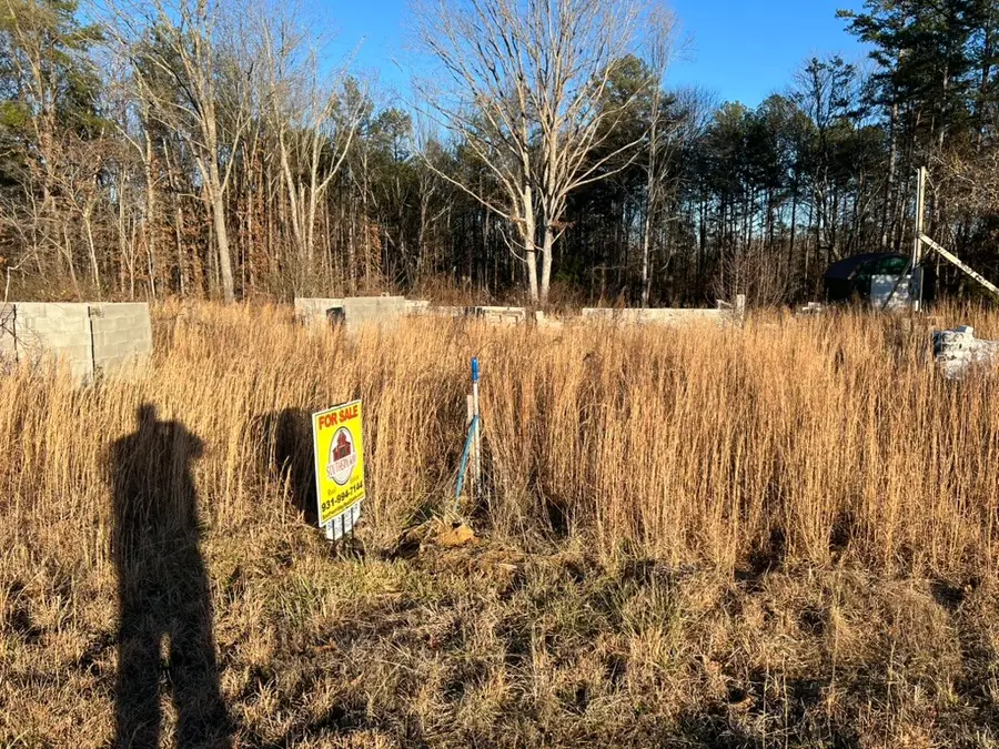 155 Mitchell St, Hohenwald, TN 38462 - Image #3