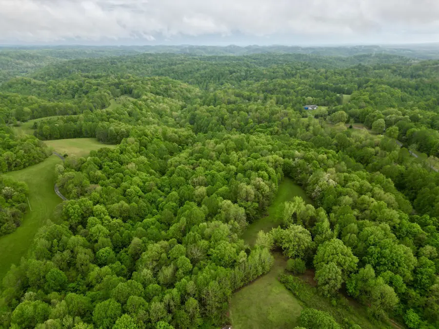 199 R B K Ln, Bethpage, TN 37022 - Image #2