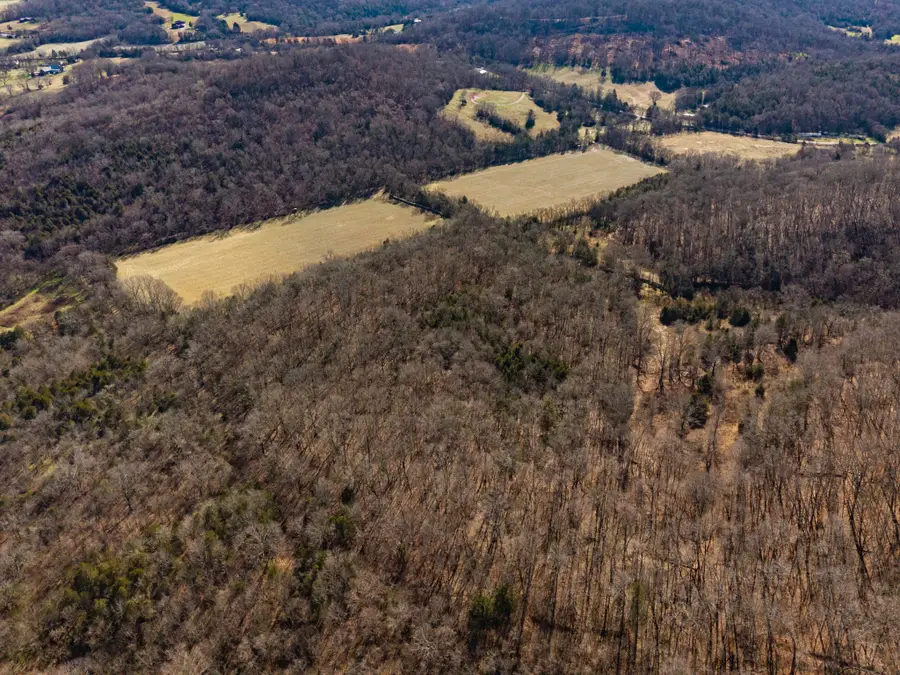 111 Cheatham Rd, Fayetteville, TN 37334 - Image #3