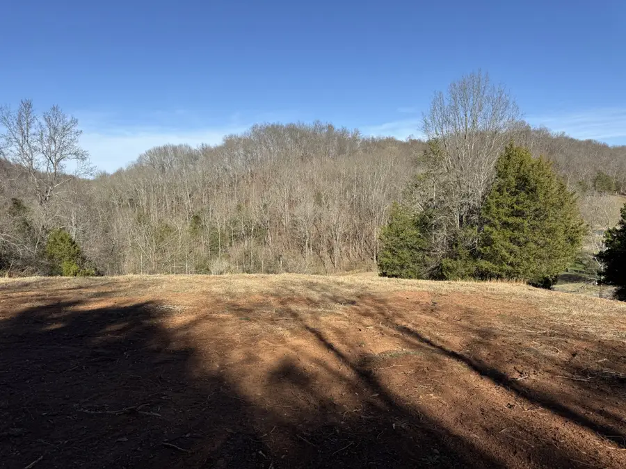 0 Robinson Rd, Frankewing, TN 38459 - Image #2