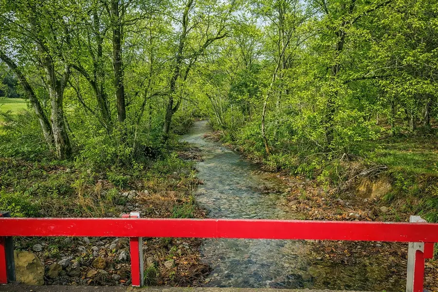 1783 Agnew Rd, Pulaski, TN 38478 - Image #3