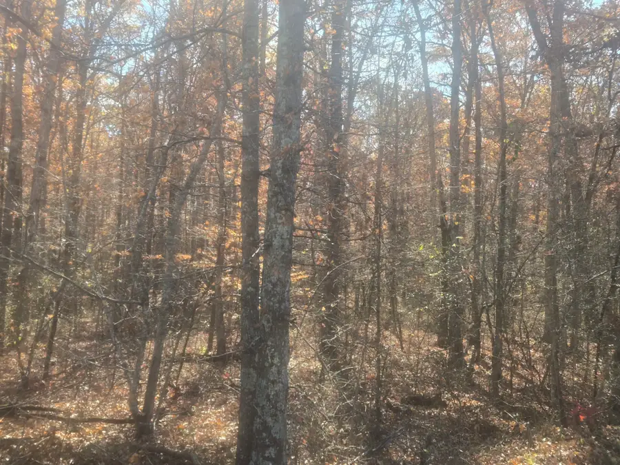 0 North Ore, Westpoint, TN 38486 - Image #2