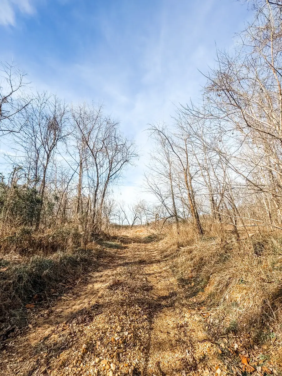 0 Yellow Creek Rd, Dickson, TN 37055 - Image #3