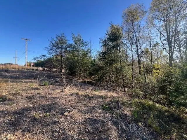 44 James Ridge Rd, Clifton, TN 38425 - Image #2