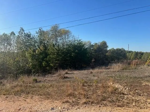 44 James Ridge Rd, Clifton, TN 38425 - Image #3