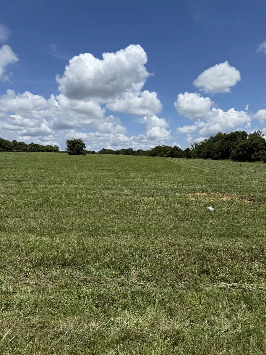 0 Nashville Hwy, Chapel Hill, TN 37034 - Image #2