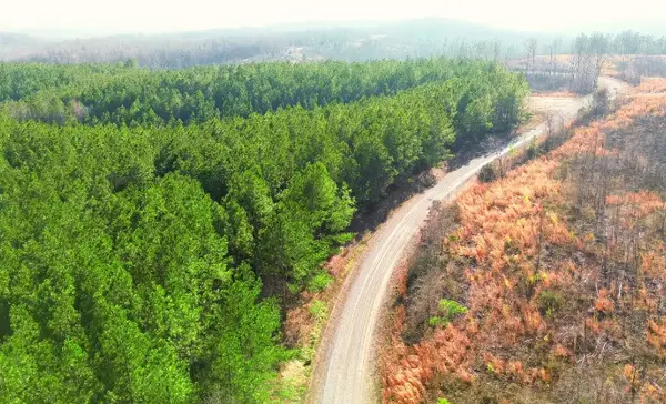 31 Ivy Hollow Ln, Stewart, TN 37175