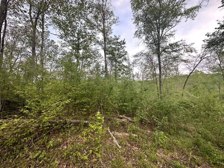 31 Ivy Hollow Ln, Stewart, TN 37175 - Image #3