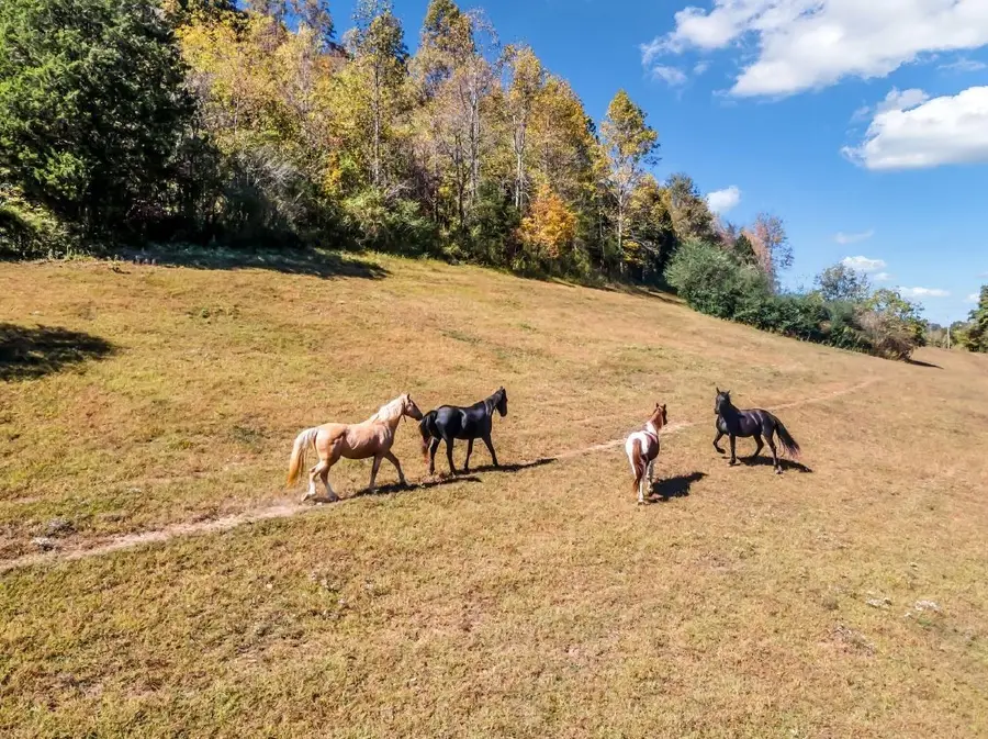 13581 Campbellsville Rd, Lynnville, TN 38472 - Image #2