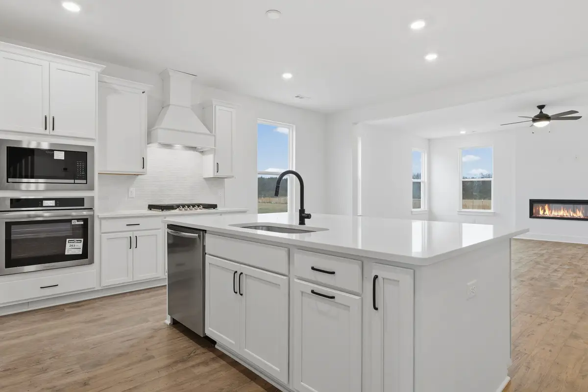 338 Mammoth Trace, Smyrna, TN 37167 - Image #1