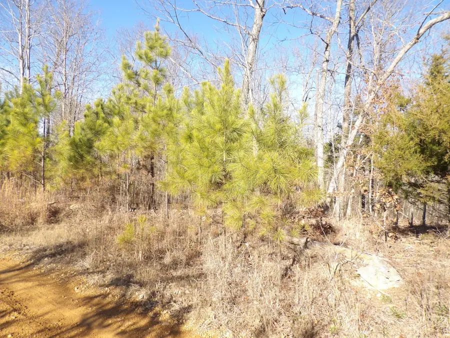 0 Smith Cemetery Lane, Waverly, TN 37185 - Image #2