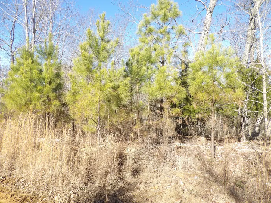 0 Smith Cemetery Lane, Waverly, TN 37185 - Image #3