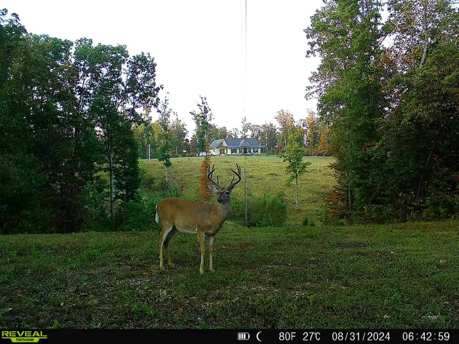 3571 Old Blacktop Rd, Mc Ewen, TN 37101 - #2