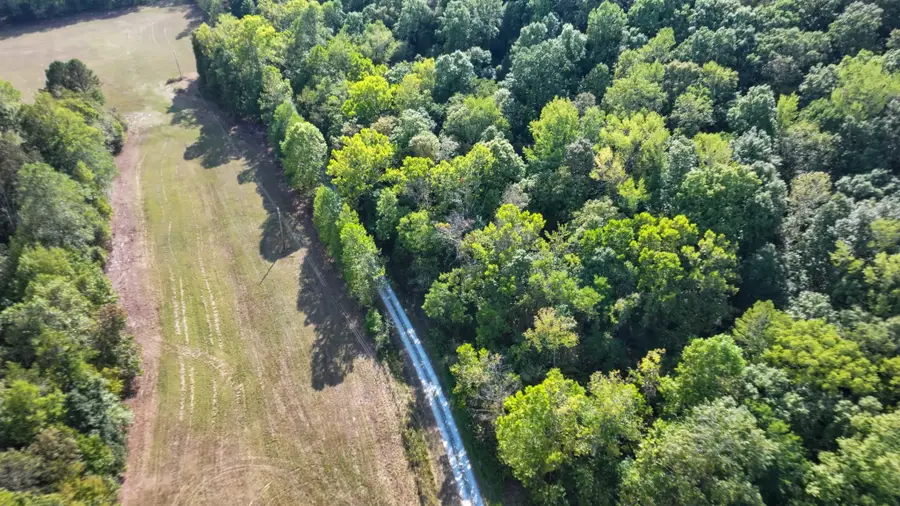 7 John Ross Hollow, Erin, TN 37061 - Image #3