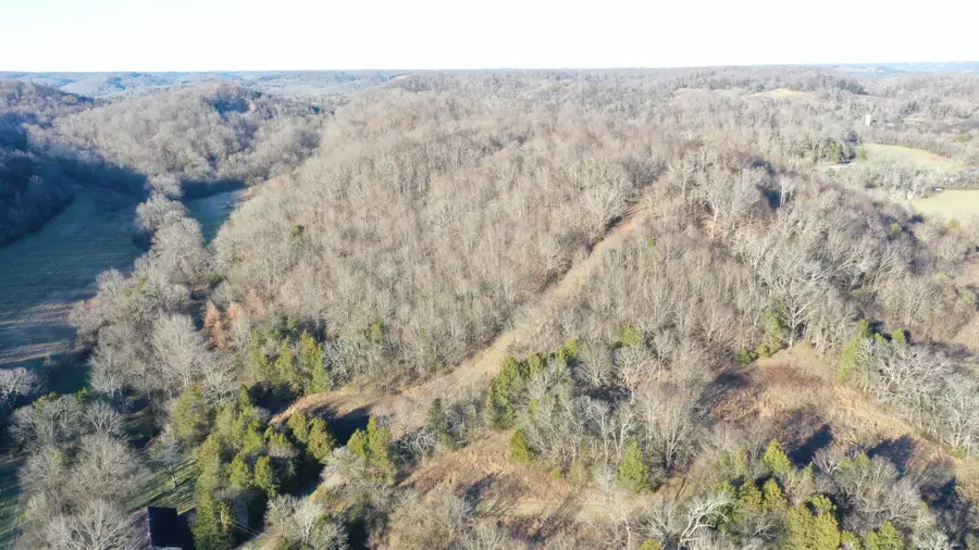 256 Lynchburg Hwy, Fayetteville, TN 37334 - Image #3