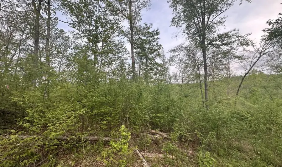 39 Ivy Hollow Ln, Stewart, TN 37175 - #2