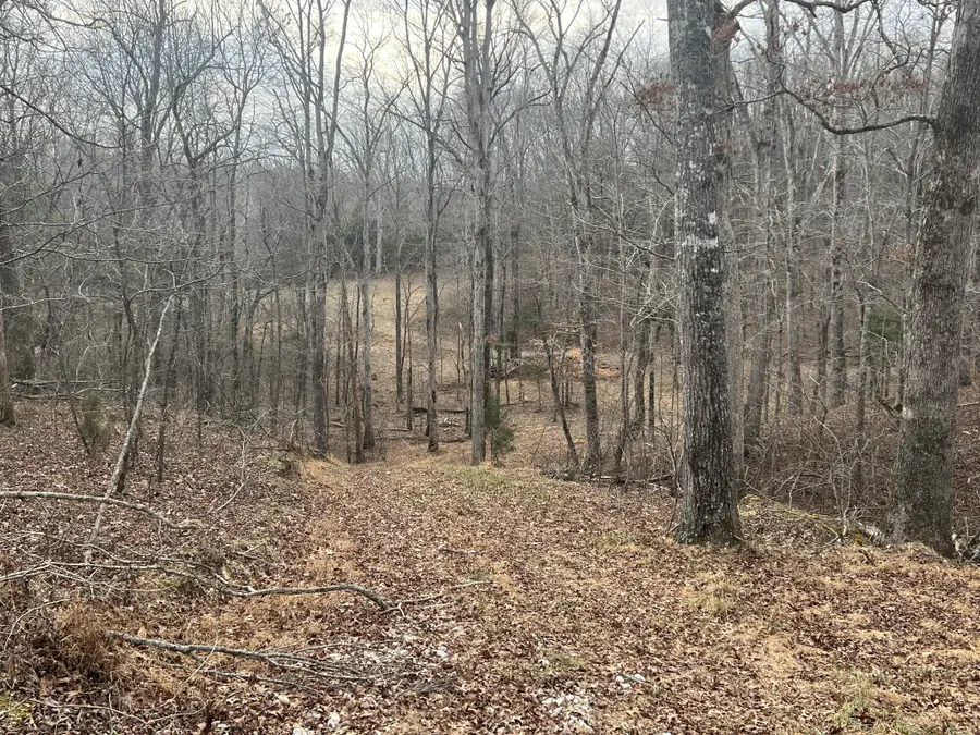 0 Billy Wynn Rd, Dickson, TN 37055 - Image #3