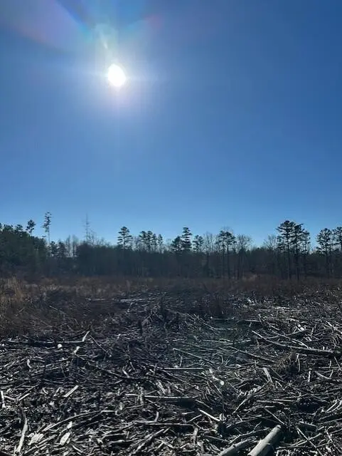 1 50th Avenue, Gruetli Laager, TN 37339