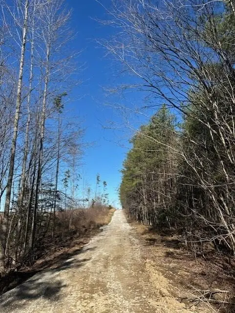 1 50th Avenue, Gruetli Laager, TN 37339 - Image #3