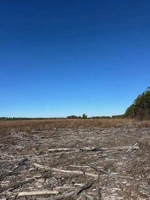 2 50th Avenue, Gruetli Laager, TN 37339