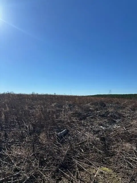 4 50th Avenue, Gruetli Laager, TN 37339