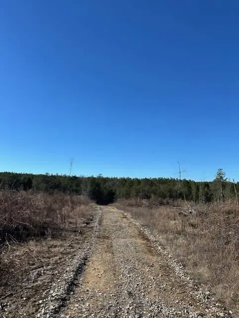 5 50th Avenue, Gruetli Laager, TN 37339 - Image #2