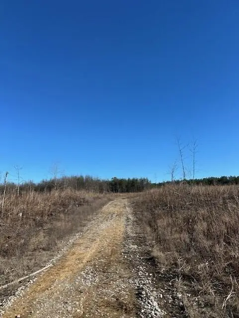 5 50th Avenue, Gruetli Laager, TN 37339 - Image #3