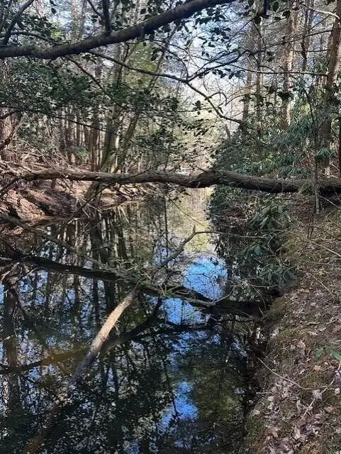 7 50th Avenue, Gruetli Laager, TN 37339 - Image #2