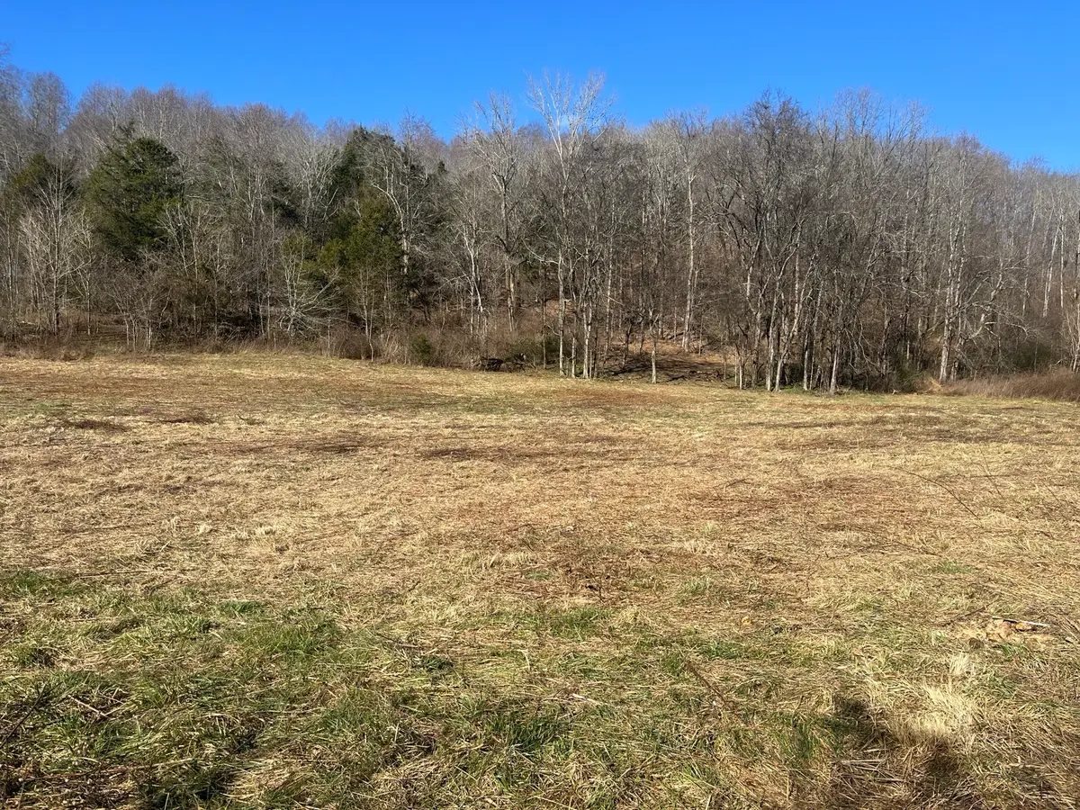 0 Cathcart Rd, Frankewing, TN 38459 - Image #1