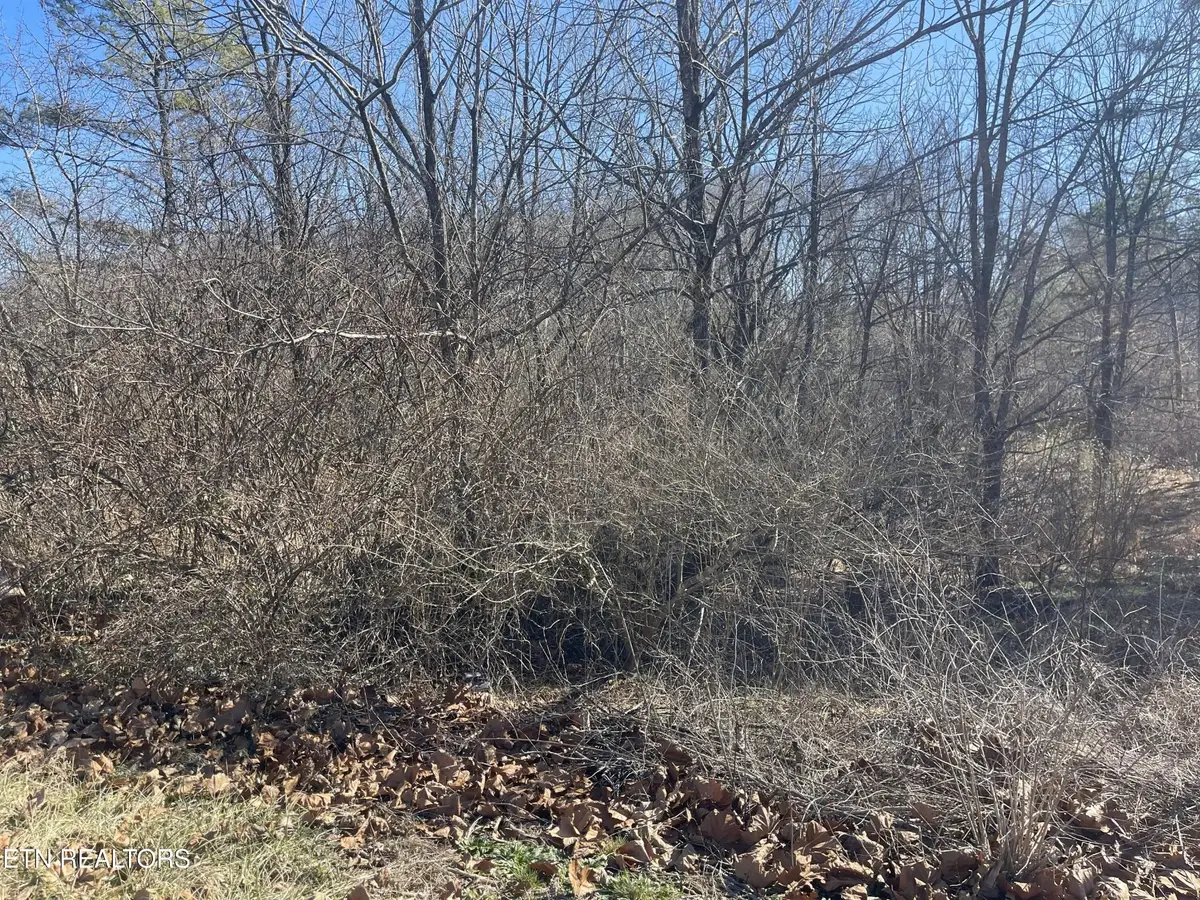 0 Livesay St, Crossville, TN 38555 - Image #1