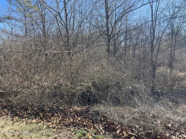 0 Livesay St, Crossville, TN 38555