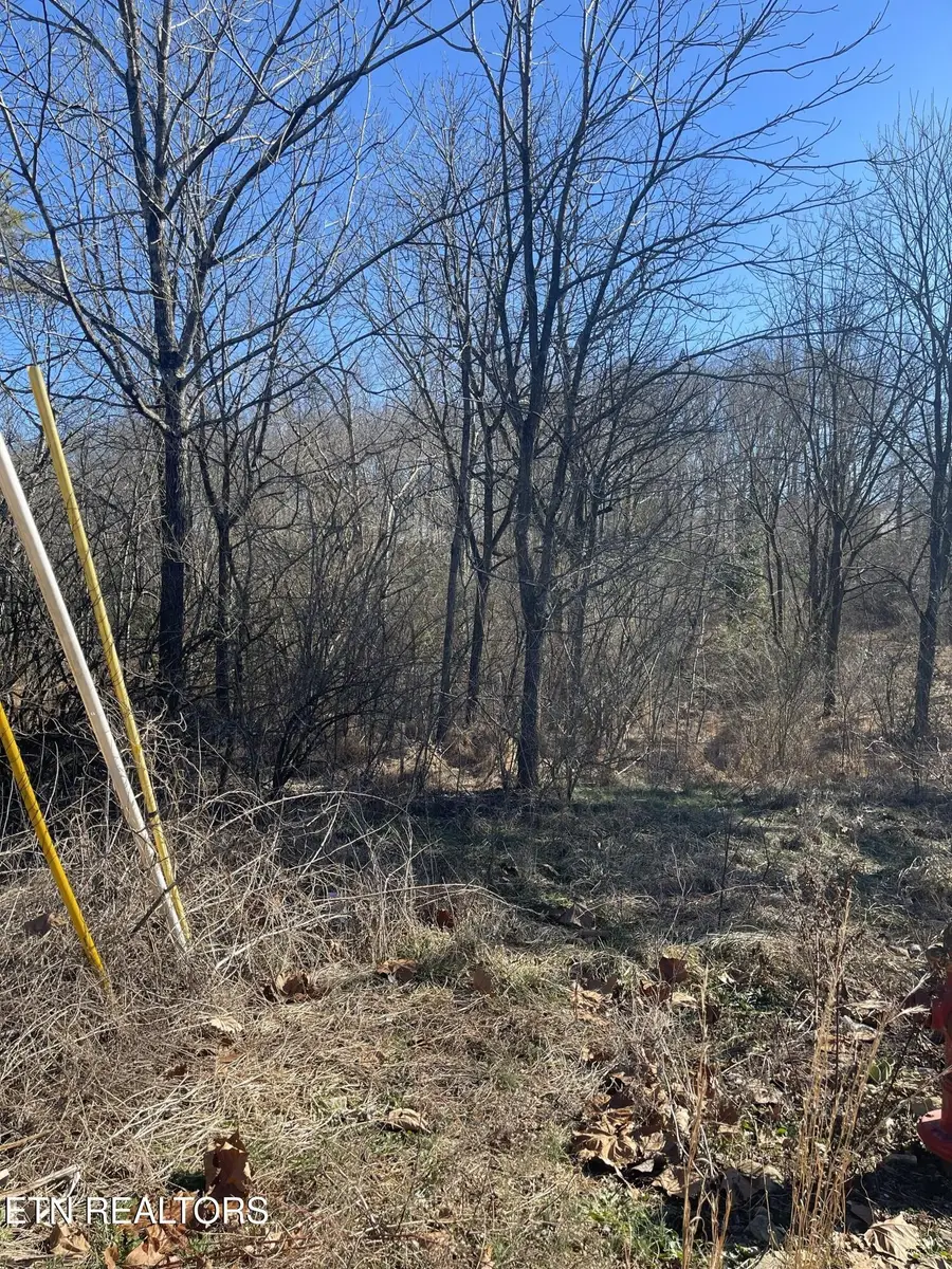 0 Livesay St, Crossville, TN 38555 - Image #3