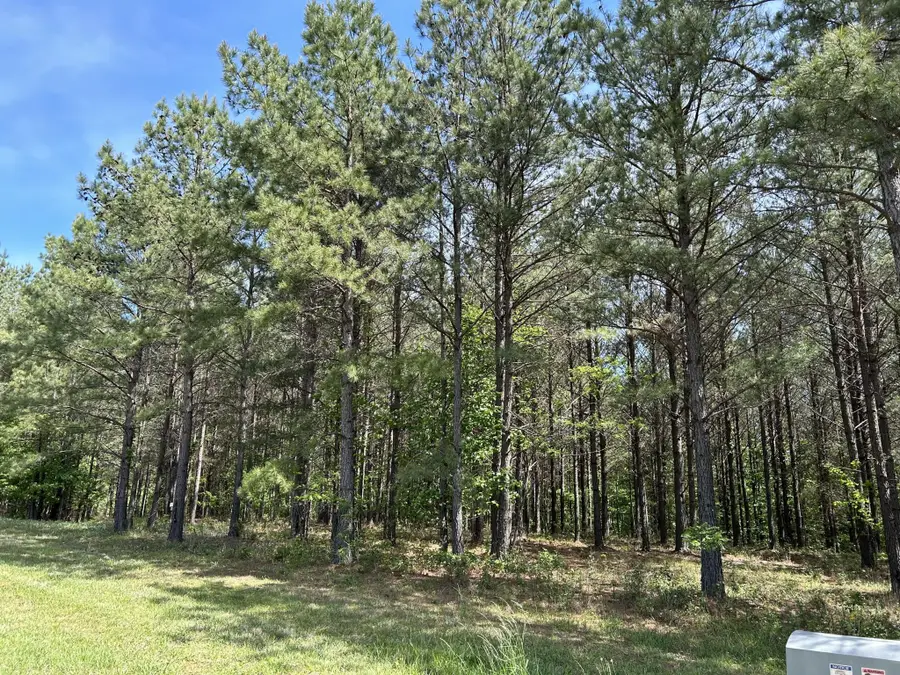 250 Bear Trace Drive, Jasper, TN 37347 - Image #3