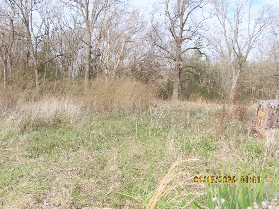 172 E College St, Saulsbury, TN 38067 - Image #2